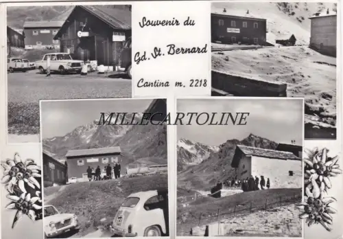 GRAND St. BERNARD - Souvenir