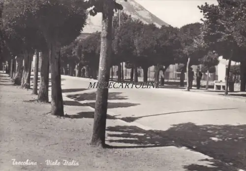 TRECCHINA: Viale Italia 1955