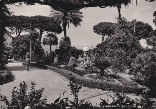 CATANZARO: Villa Trieste 1958