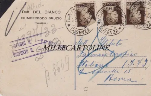 FIUMEFREDDO BRUZIO: Kopf - Dr. Del Bianco 1934