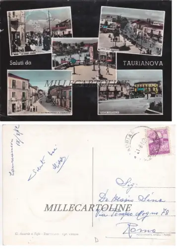 TAURIANOVA: Grüße aus 1962