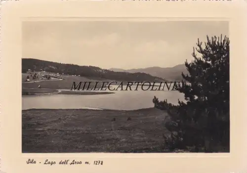 SILA - Lago dell'Arvo (S. Giovanni in Fiore) 1951