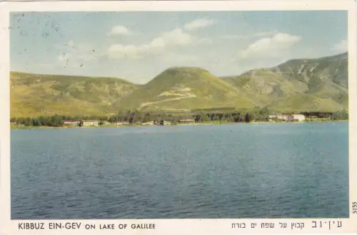 ISRAEL - Kibbuz Ein Gev, See Genezareth, Postkarte 1958