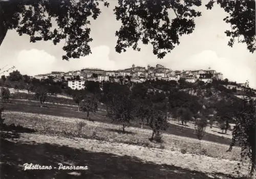 #FILOTTRANO: PANORAMA