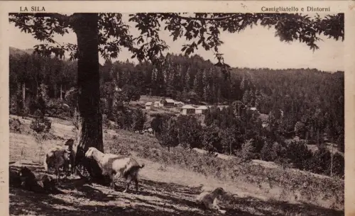 #CAMILLIATELLO: IN DER NÄHE DER BUNDESKANTONE