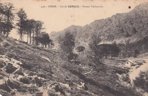 FRANKREICH - Korsika - Col de Vergio, Seite Valdoniello