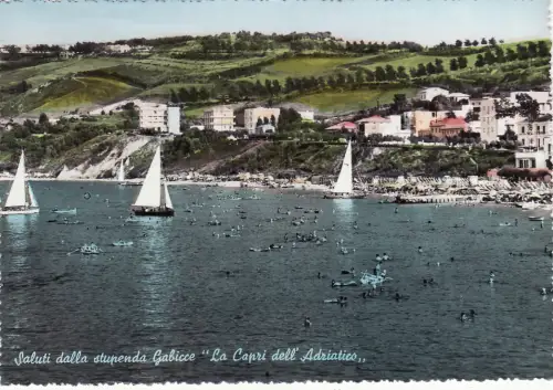 #MEERESGABICCE: DIE ZIEGEN DER ADRIA