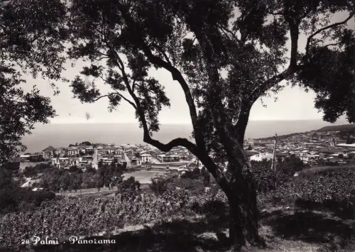 #PALMI: PANORAMA