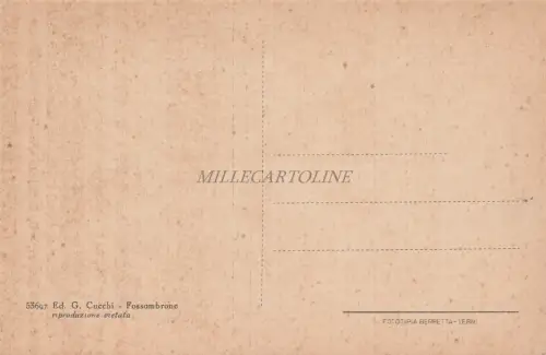 FOSSOMBRONE - Saluti - Ed.Cucchi