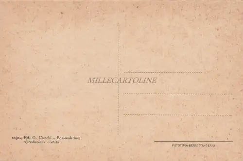 FOSSOMBRONE - Panorama - Ed.Cucchi