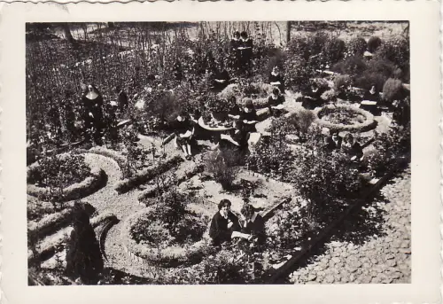 #MARATEA: INSTITUTO DE PINO - EINER DER GÄRTEN