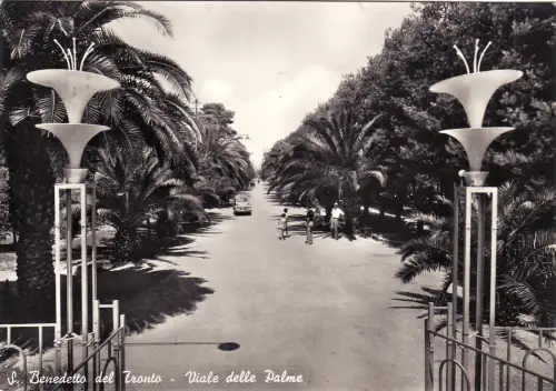 #S. BENEDETTO DEL TRONTO: VIALE DELLE PALME