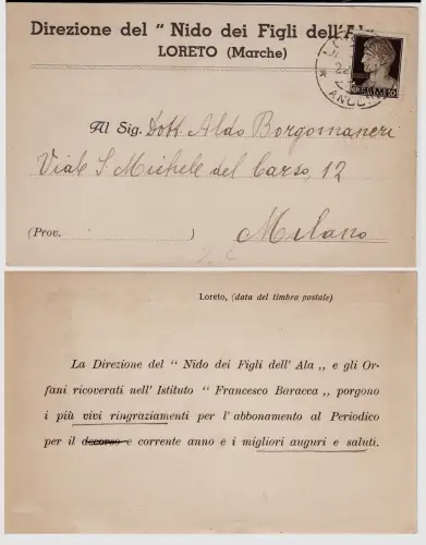 #LORETO: Kopf - NESTRICHTUNG DER FLÜGELKINDER