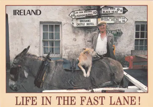 IRLAND - Leben auf der Überholspur, Irischer Mann mit Hund auf Esel...