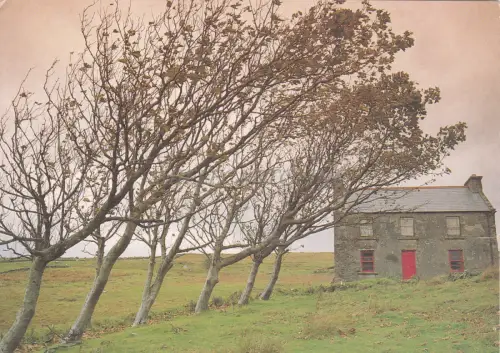 IRLAND - Glencolombkille, Donegal, Irish Cottage