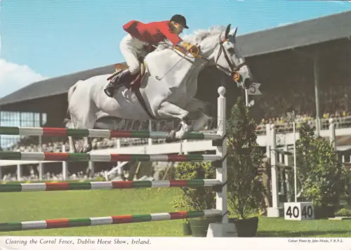 IRLAND - Dublin, Clearing the Corral Fence, Dublin Horse Show 1971
