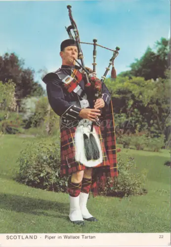 SCHOTTLAND - Piper in Wallace Tartan