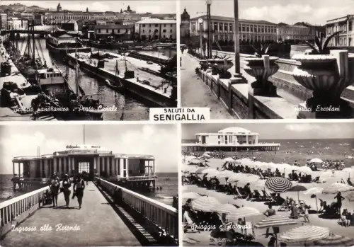#SENIGALLIA: GRUSS AUS