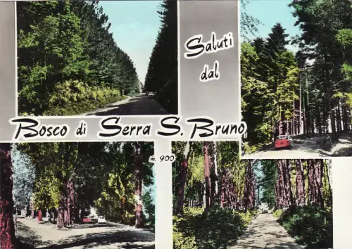 #GEWÄCHSHAUSWALD S. BRUNO: GRUSS AUS