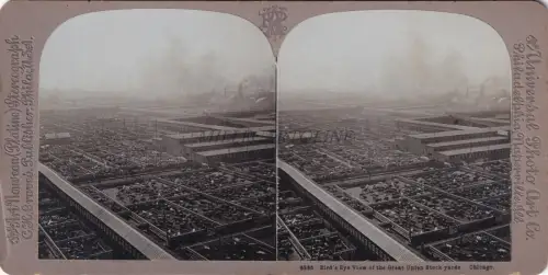 STEREOVIEW - Chicago Illinois - View of Great Union Stock Yards (C.H.Graves)