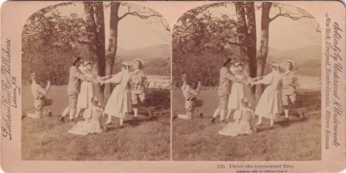 STEREOVIEW - Littleton NH - Under the Greenwood Tree (Underwood & Underwood)