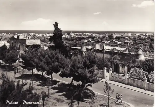 #PALESE: PANORAMA