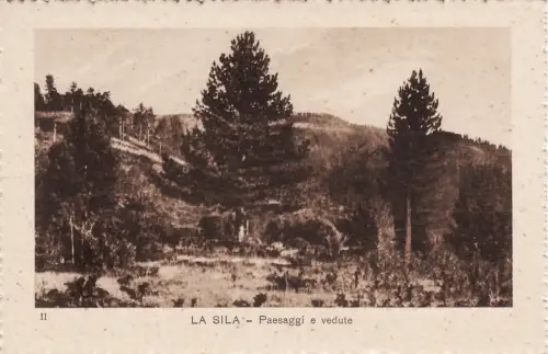 #LA SILA: LANDSCHAFTEN UND ANSICHTEN Nr. II - Edit. F. Gigliotti