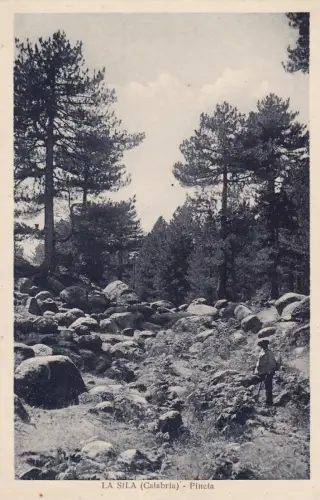 #LA SILA: PINETA.. Schreibwaren V. Asturi e Figli- CZ