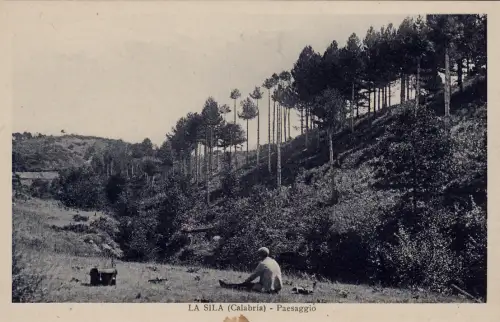 #LA SILA: LANDSCHAFT.. Briefkasten V. Asturi e Figli- CZ