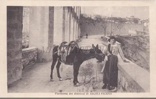ASCOLI - Forosetta, Contadinella, Postkarte