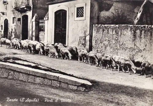 #BARTE: FUSS DIE GASSE