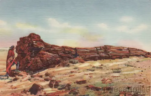 * INDIAN - Nase am großen Baumstamm, versteinerter Wald