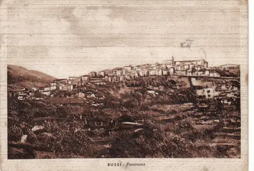 #BUSSI: PANORAMA