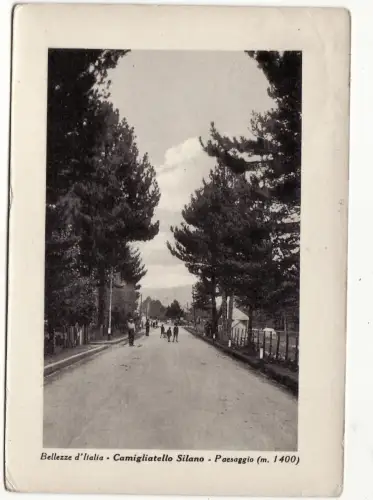 #CAMILLIATELLO SILANO: LANDSCHAFT