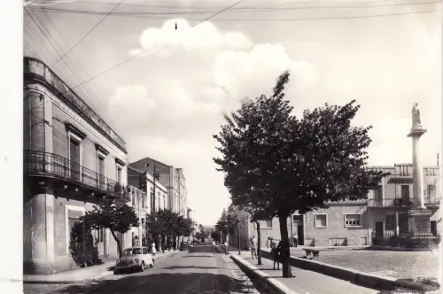 #ALTAMURA: VIALE REGINA MARGHERITA