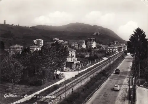 #KÄTZCHEN: PANORAMABLICK