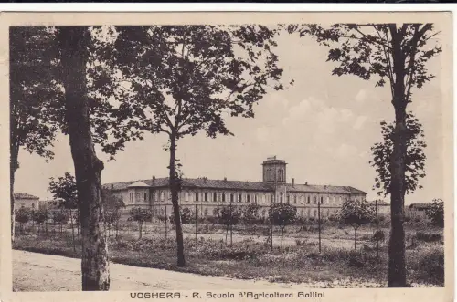 #VOGHERA: R. ARTILLERIESCHULE HÜHNER