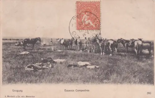 URUGUAY - Scenas Campestres 1905