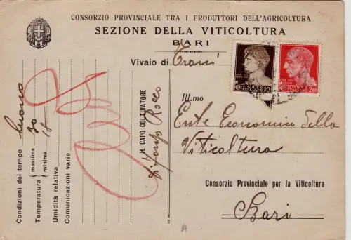 #BARI: KOPFSTÜCK - SEZ. WEINBAU - KONSORTIUM PROV. ZWISCHEN LANDWIRTSCHAFTLICHEN HERSTELLERN
