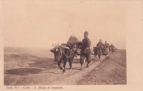 CHINA - Transportmittel (Means of transport) 1920 Missions Postcard N.5