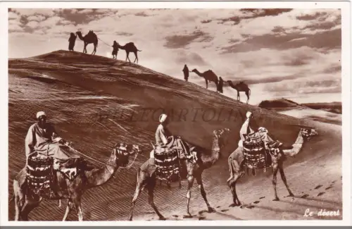 LIBANON - Die Wüste, Fotopostkarte