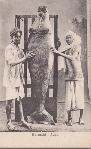 JEMEN - Meerjungfrau, Aden, Postkarte