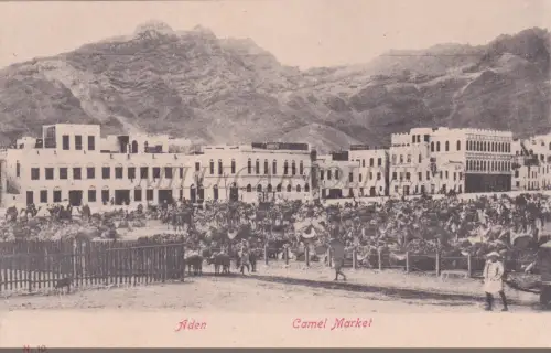 JEMEN - Kamelmarkt, Aden, Postkarte 1900
