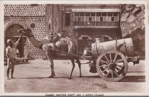 JEMEN - Kamel Wasserwagen Nr. 1, Aden, Fotopostkarte