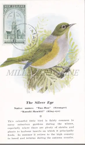 NEUSEELAND - Das Silberne Auge, Tau-Hou, Kauohi-Mowhiti, Postkarte