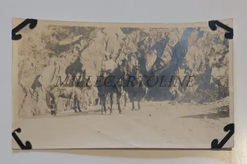 NEW MEXICO 2 COWBOYS MIT 3 PFERDEN - Foto