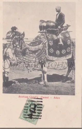 JEMEN - Arabisches Häuptlingskamel, Aden, Postkarte 1900 Indien Briefmarkenaufdruck