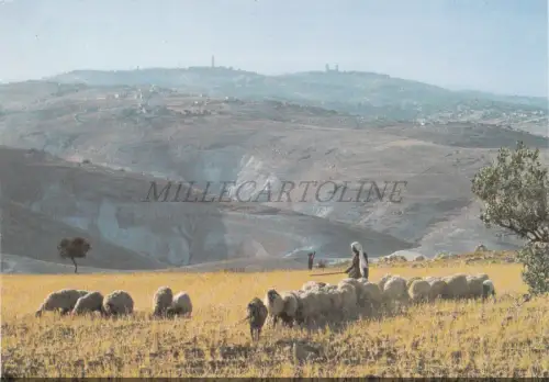 ISRAEL - Blick Richtung Jerusalem aus der judäischen Wildnis, Postkarte