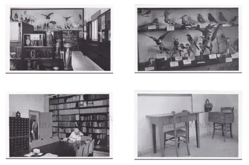 ISRAEL - Beth Gordon, Dagania, 4 Postkarten