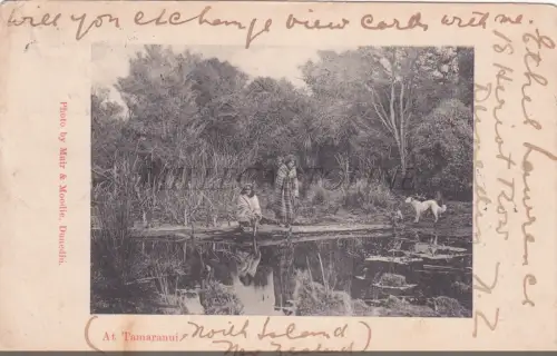 NEUSEELAND - Bei Tamaranui, Postkarte 1903